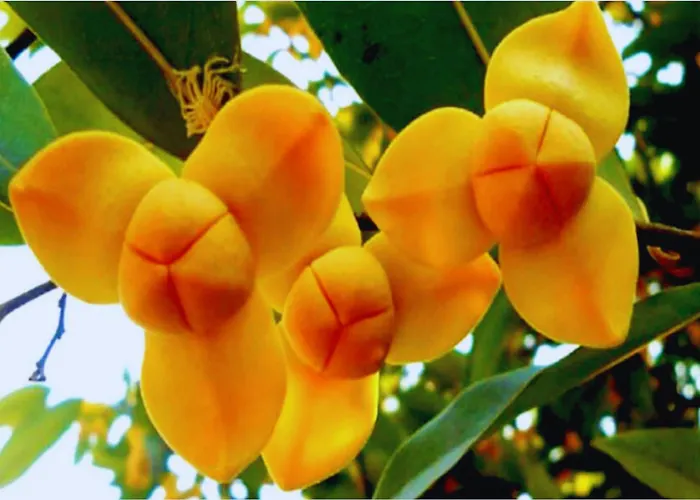 Nocleg ze śniadaniem Angkor 27 4*